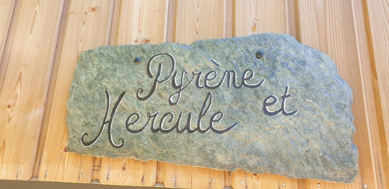 Le Chalet De Pyrene Et Hercule Arignac Exterior photo